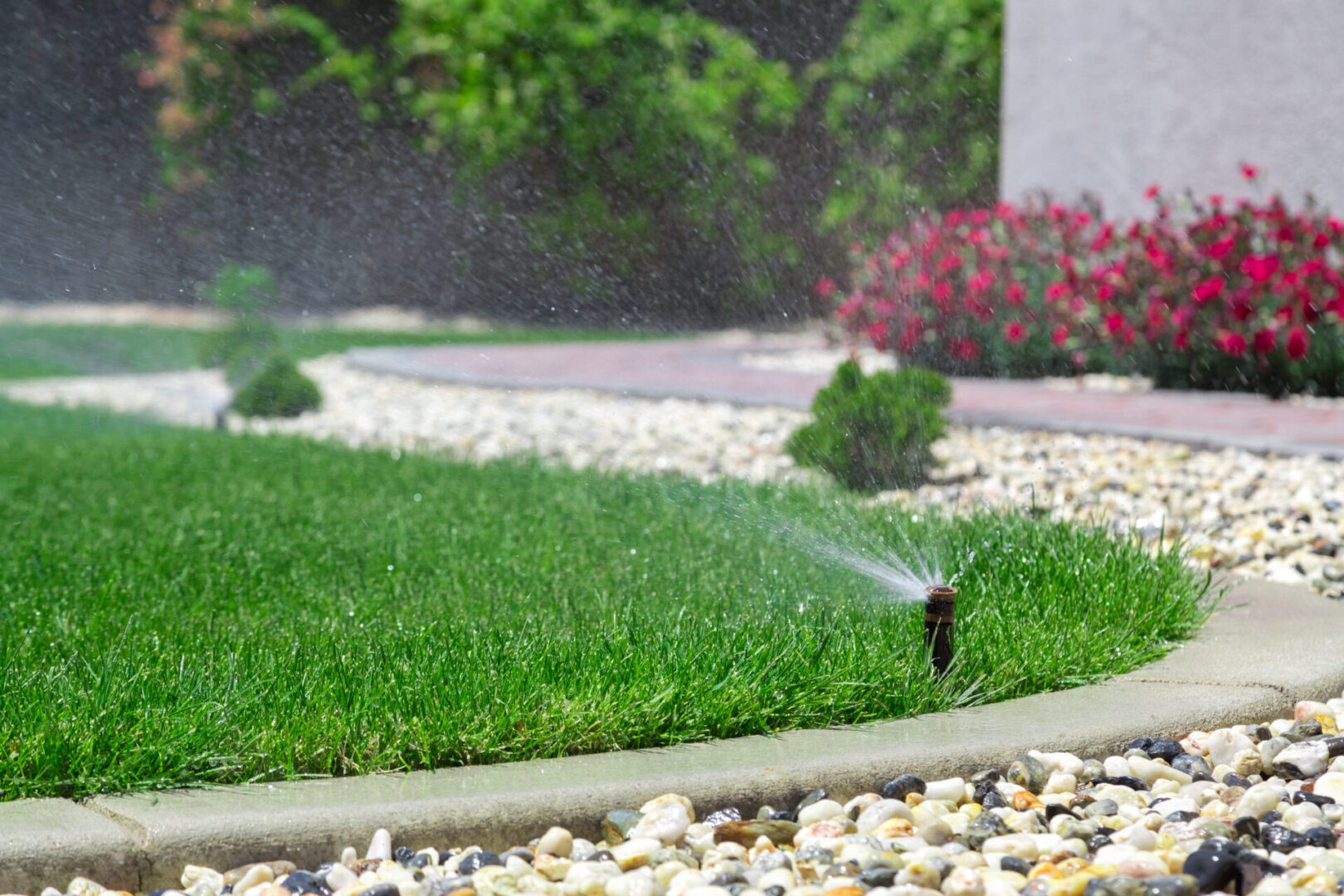 A lawn with grass and water spraying from it.